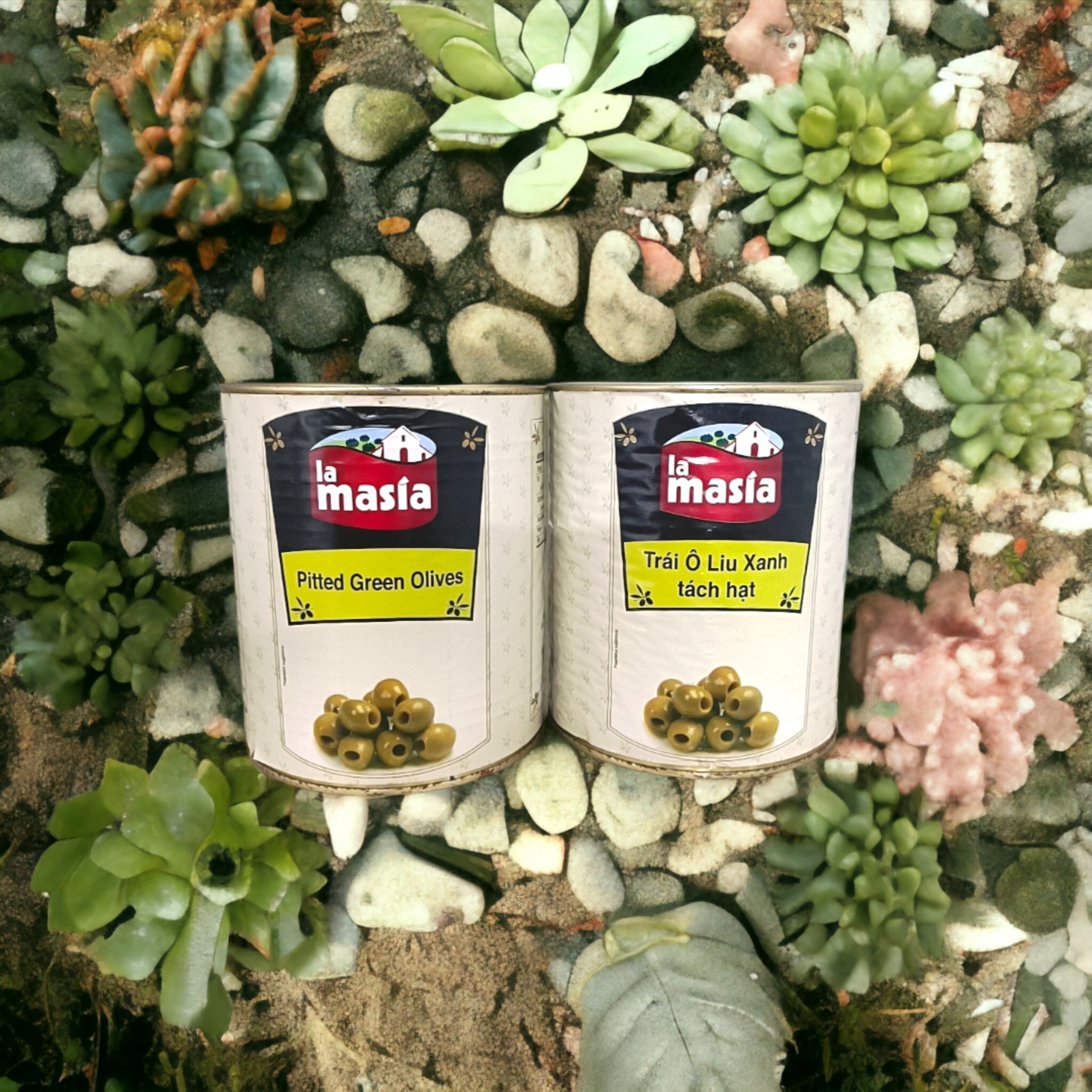 ed8513454e389c66c529